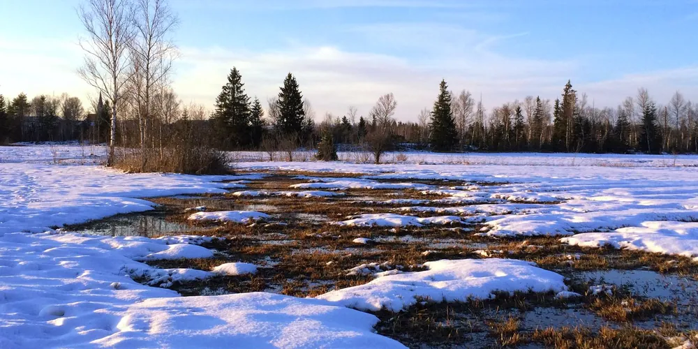 Winterlandschaft im Ellbacher Moor
