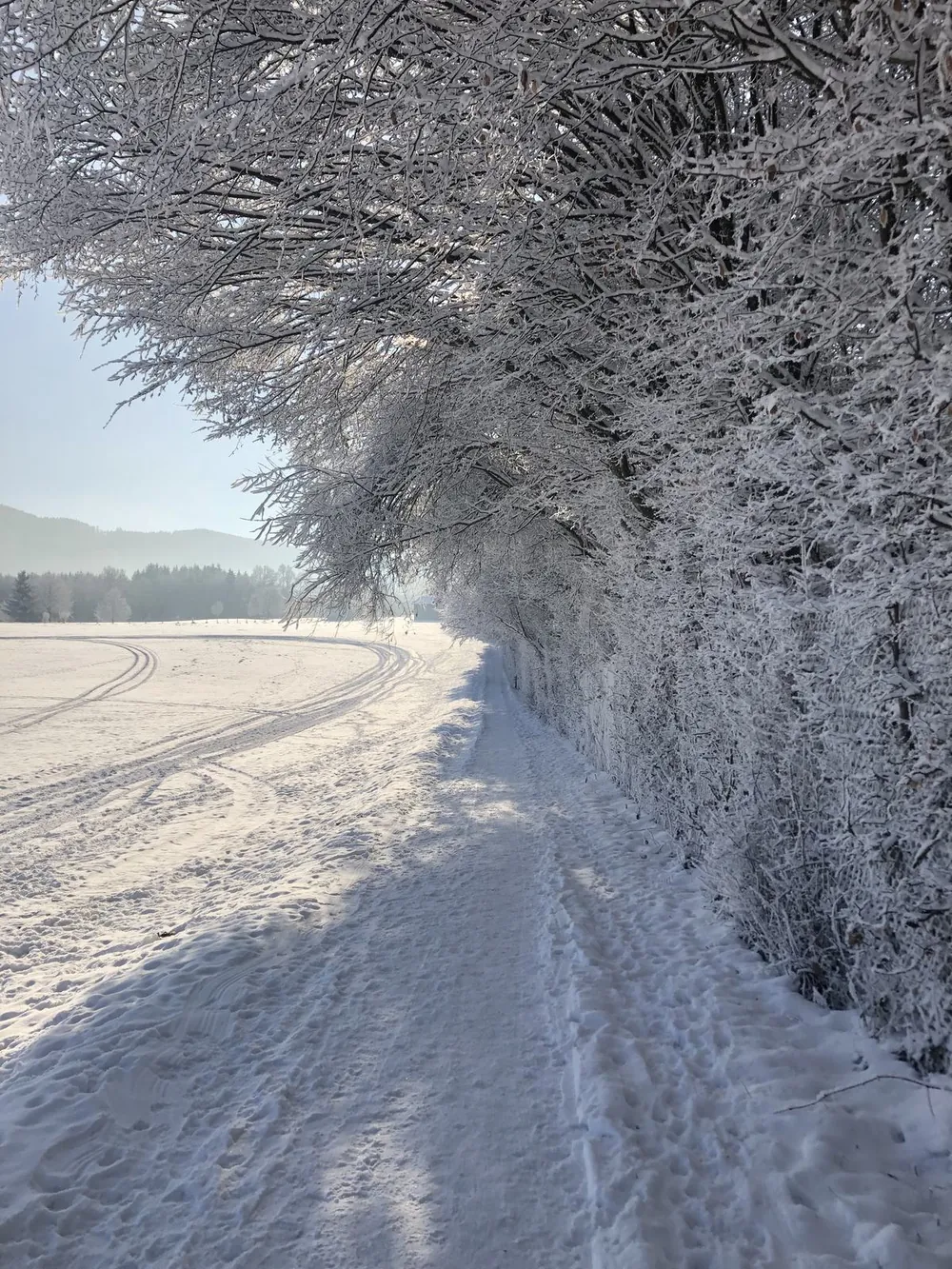 Bad Tölz im Winter