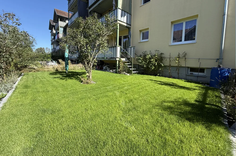 Garten mit Blick zum Haus